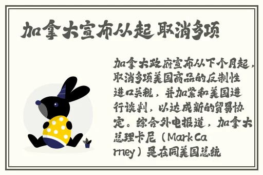 美美哒影视免费观看